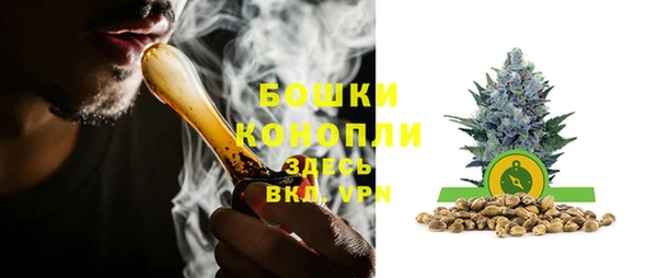 PSILOCYBIN Вяземский