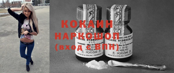индика Вязники