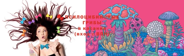 PSILOCYBIN Вяземский