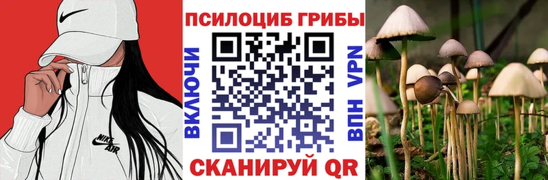 Купить закладки  Свирск  Галлюциногенные грибы ЛСД 